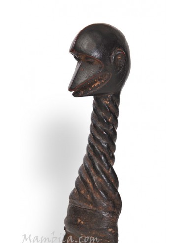 Campana africana