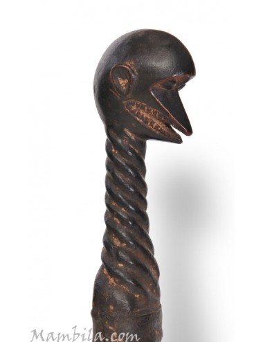 Campana africana
