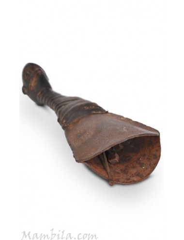 Campana africana