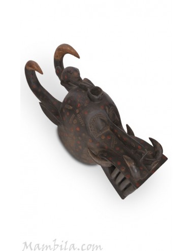Senufo Kpnoyungo