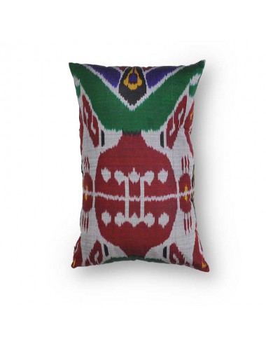 Cojin Ikat