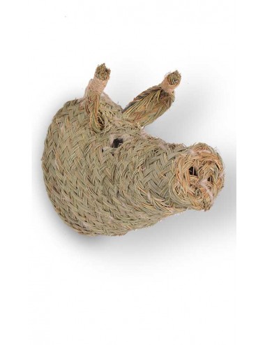 cabeza-esparto