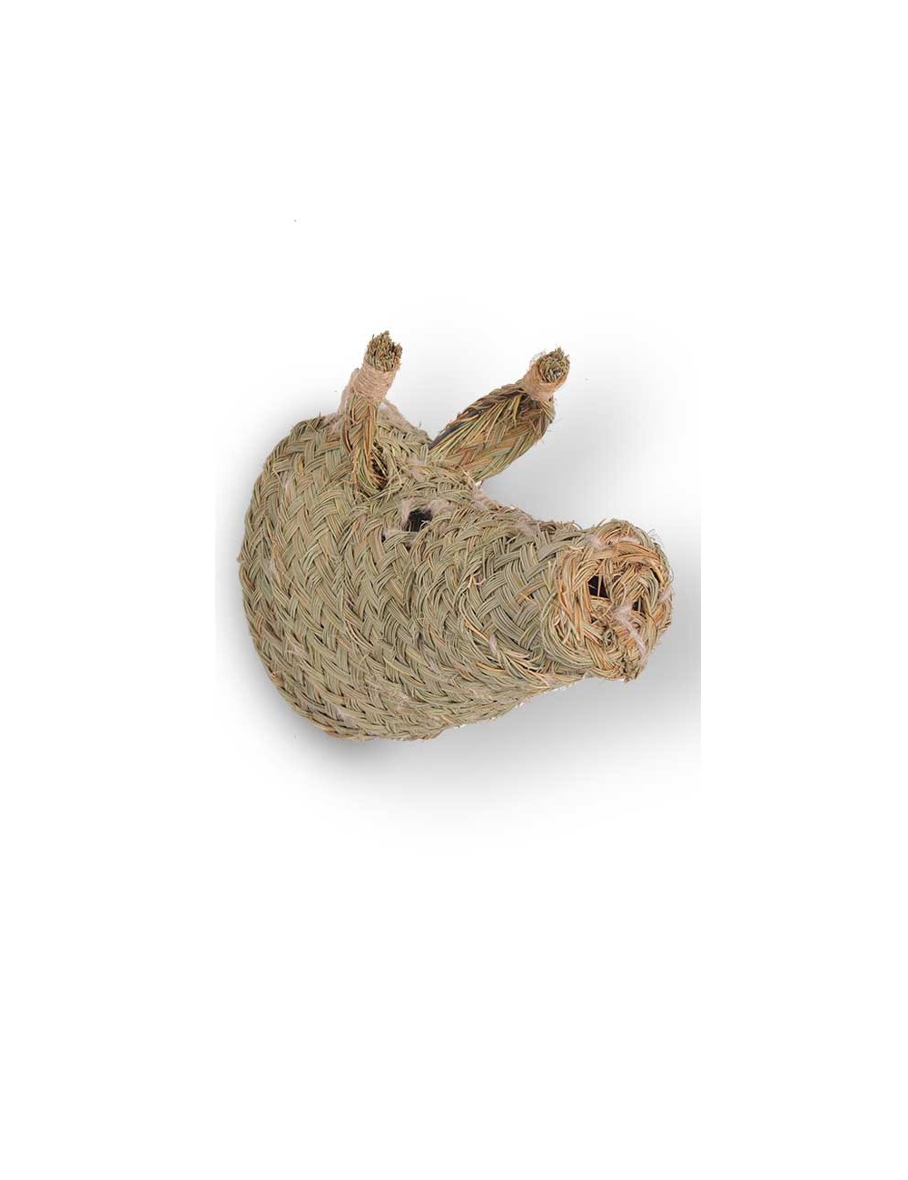 cabeza-esparto