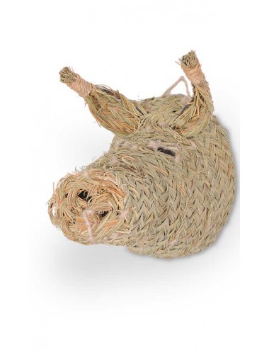cabeza-esparto