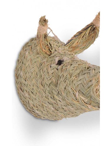 cabeza-esparto