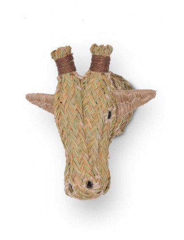 cabeza-esparto