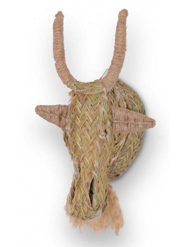 cabeza-esparto-cabra