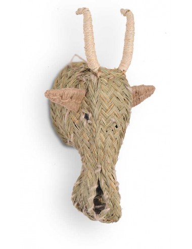 Cabeza-cabra-esparto